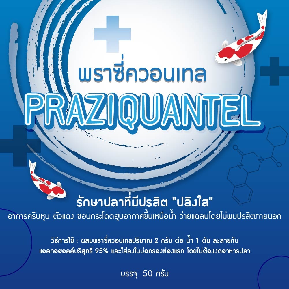 พราซี่ควอนเทล ยารักษาปลาที่มีปรสิตปลิงใส เพชรฟาร์ม ฟาร์มปลาคาร์ฟ